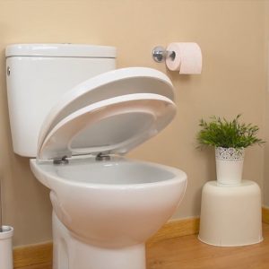 Optima Toilet Seat