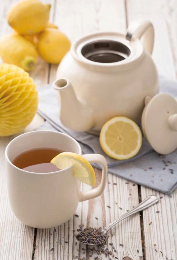P&K Teapot 6 Cup Matt Cream