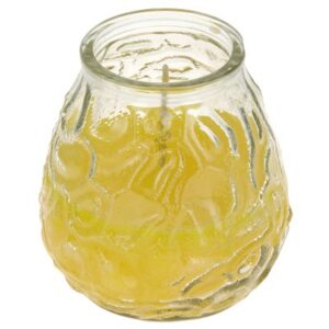 Citronella Candle in Glass Jar
