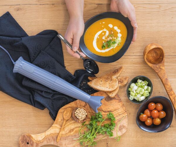 Plisse Hand Blender Grey (MDL10 G)