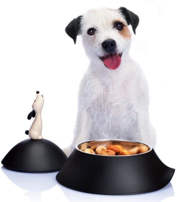 Lula Dog Bowl (AMMI19 B) - Image 3