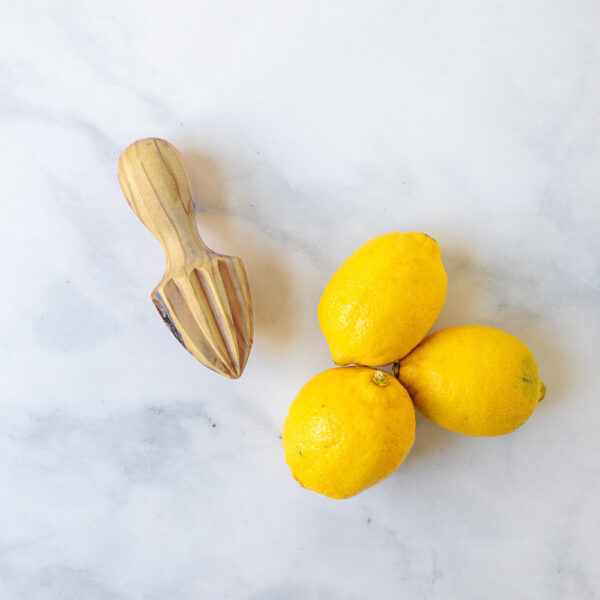Handheld Citrus Squeezer 15cm