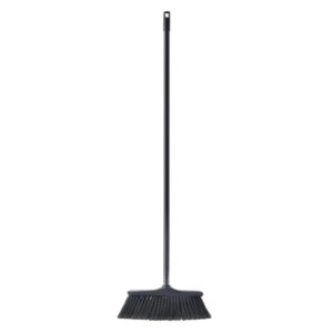 Broom with Handle