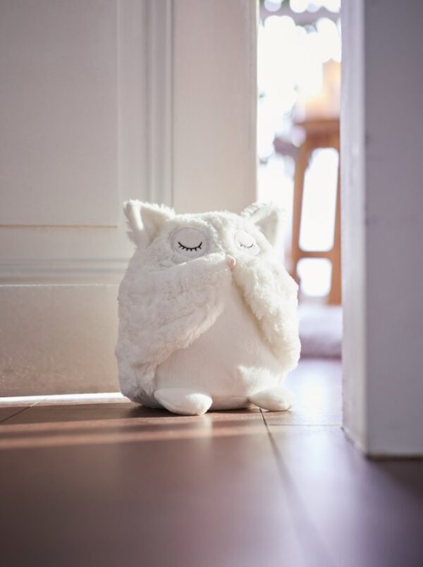 Owl Door Stopper (3 Colours)
