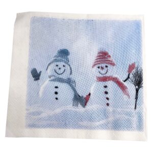 Xmas Paper Towels