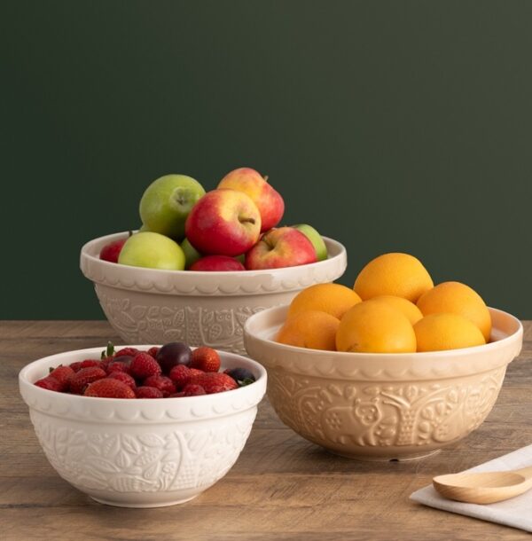 Forest S24 Bear Cane Mixing Bowl 24cm - Image 6