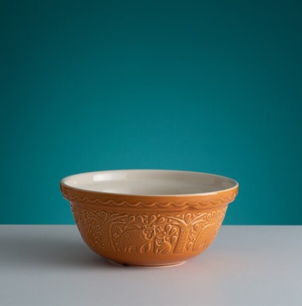 Forest S24 Bear Orche Mixing Bowl 24cm