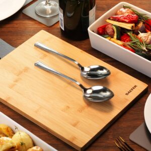 Salter Buxton 2pc Serving Spoon Set