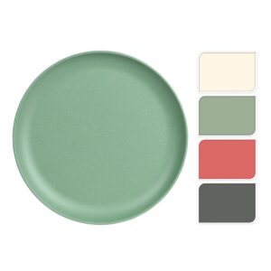 Melamine Plate 25cm (4 Colours)